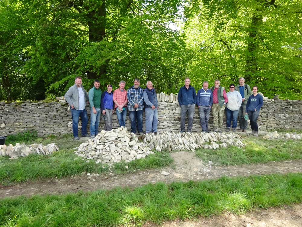 Group of workshop graduates standing together in front of a finished dry stone wall